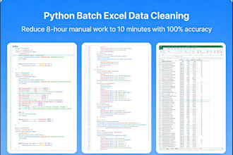 professional excel automation and python data processing