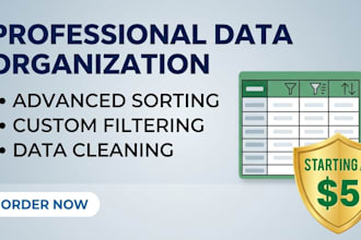 sort, filter, and clean your excel data professionally