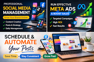 setup and optimize your facebook and instagram business