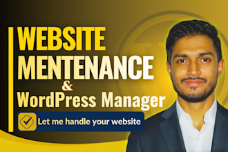 provide wordpress website maintenance and wordpress support