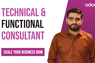 provide odoo erp functional and technical consultancy