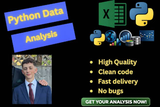 perform data analysis using python and excel