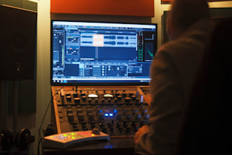 provide professional analog mastering for your song