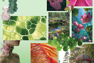 make fashion moodboards for collections