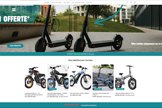 do a e commerce website