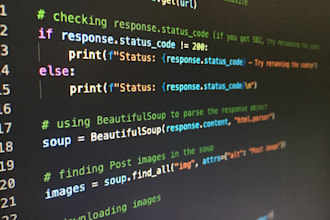do any python projects