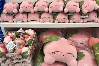 purchase items from japan and ship them to you