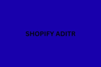 audit shopify in professionaly