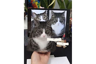 create a custom realistic needle felted pet memorial replica