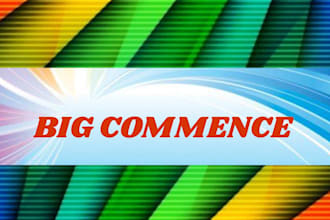 create a professional ecommerce website for your business