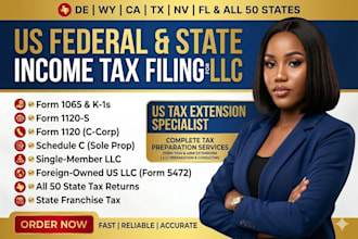 prepare and file your US federal and state income tax returns for llc