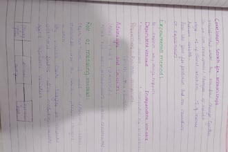 assignments projects management analysis
