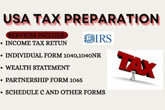 prepare USA tax returns form 1040 1040nr and 1065