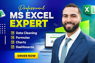 be your microsoft excel expert for data cleaning, formulas, charts