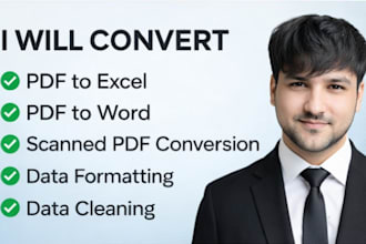 we will do PDF word and excel related tasks