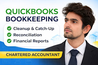 quickbooks bookkeeping, cleanup, catch up and financial reporting as ca