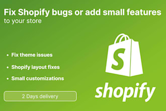 fix shopify bugs or add small features to your store