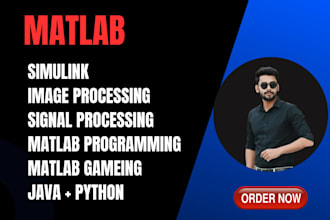 do matlab simulink and matlab programming , matlab task for you