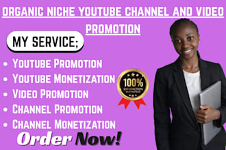 do organic niche youtube channel and video promotion support in monetization