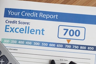 do your credit report, credit repair, remove late payment, inquiry removal
