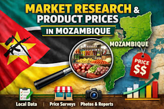 do market research and product price research in mozambique
