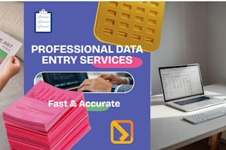 do accurate data entry and excel data cleaning