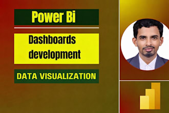 develop professional power bi dashboards with insights