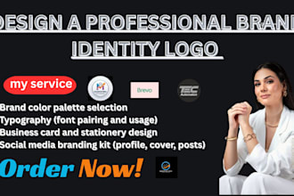 design a professional brand identity logo company guidelines and branding kit