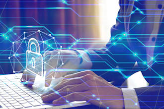 conduct blockchain forensic, wallet fraud analyst, uncover online cybercrime