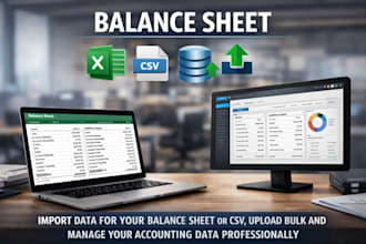 prepare professional balance sheet, profit and loss, and cash flow statement