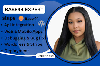 base44 debugging base44 expert base44 integration base44 website bug fix web app