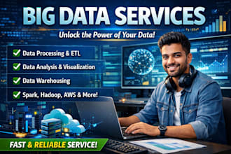 do big data extraction, big data cleaning, big data entry and big data analysis