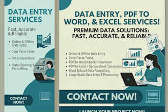 do professional data entry , typing and copy paste work