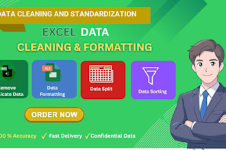 do excel data cleaning, formatting, and split data