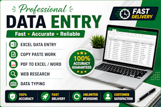 do excel data entry, copy paste, web research and typing