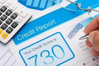 remove inquiry from all the 3 credit, inquiry removal, charge off, collections