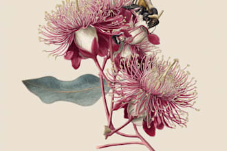 design a botanical illustration