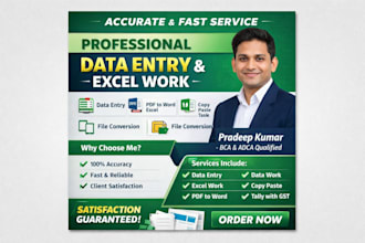 do professional data entry, excel, copy paste, pdf to  ms office work