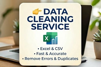 data cleaning, organizing and formatting in excel or CSV