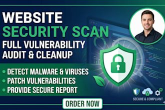 perform professional website security scan and vulnerability assessment