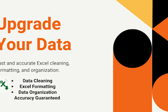 expert data entry and complex cleaning