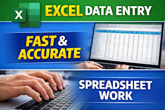 do excel data entry and spreadsheet work accurately