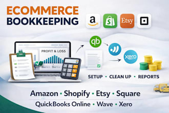 quickbooksonline wave xero bookkeeping cleanup for ecommerce shopify amazon etsy
