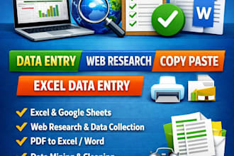 do accurate data entry, web research, copy paste, and excel data entry