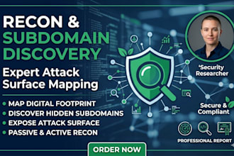 find subdomains and perform reconnaissance on your domain