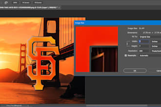 convert images and redraw them as dtf and uv dtf