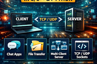 do socket programming in c, cpp or python tcp udp client server