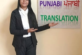 do professional punjabi, hindi, english translation, script writing