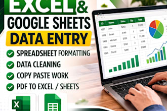 data entry spreadsheet formatting and google sheets work