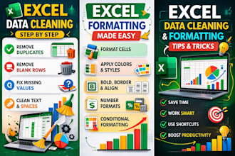 help you with microsoft excel basic tasks and data entry